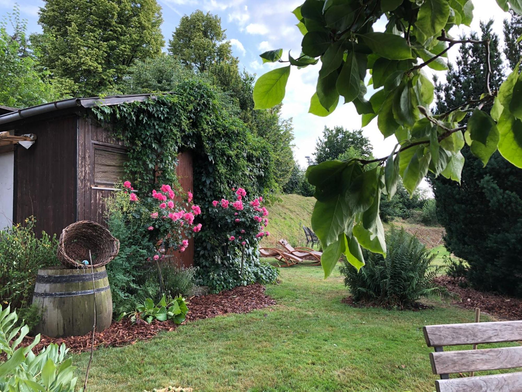 Rebenhaus Meißen Exterior foto