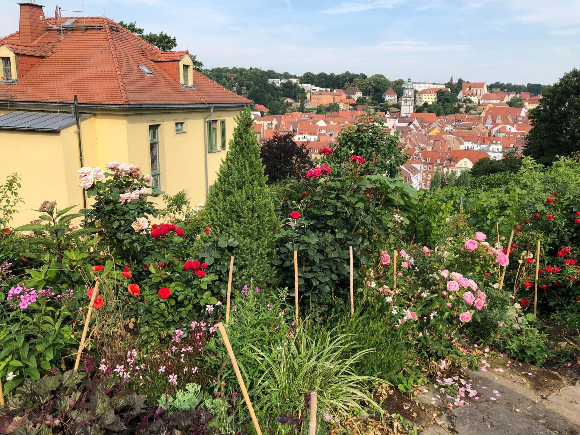 Rebenhaus Meißen Exterior foto