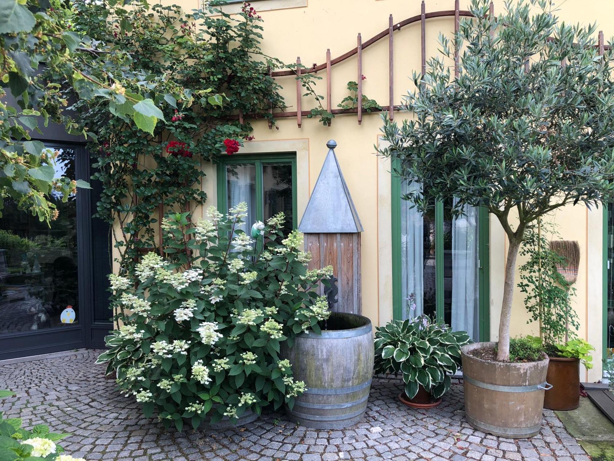 Rebenhaus Meißen Exterior foto